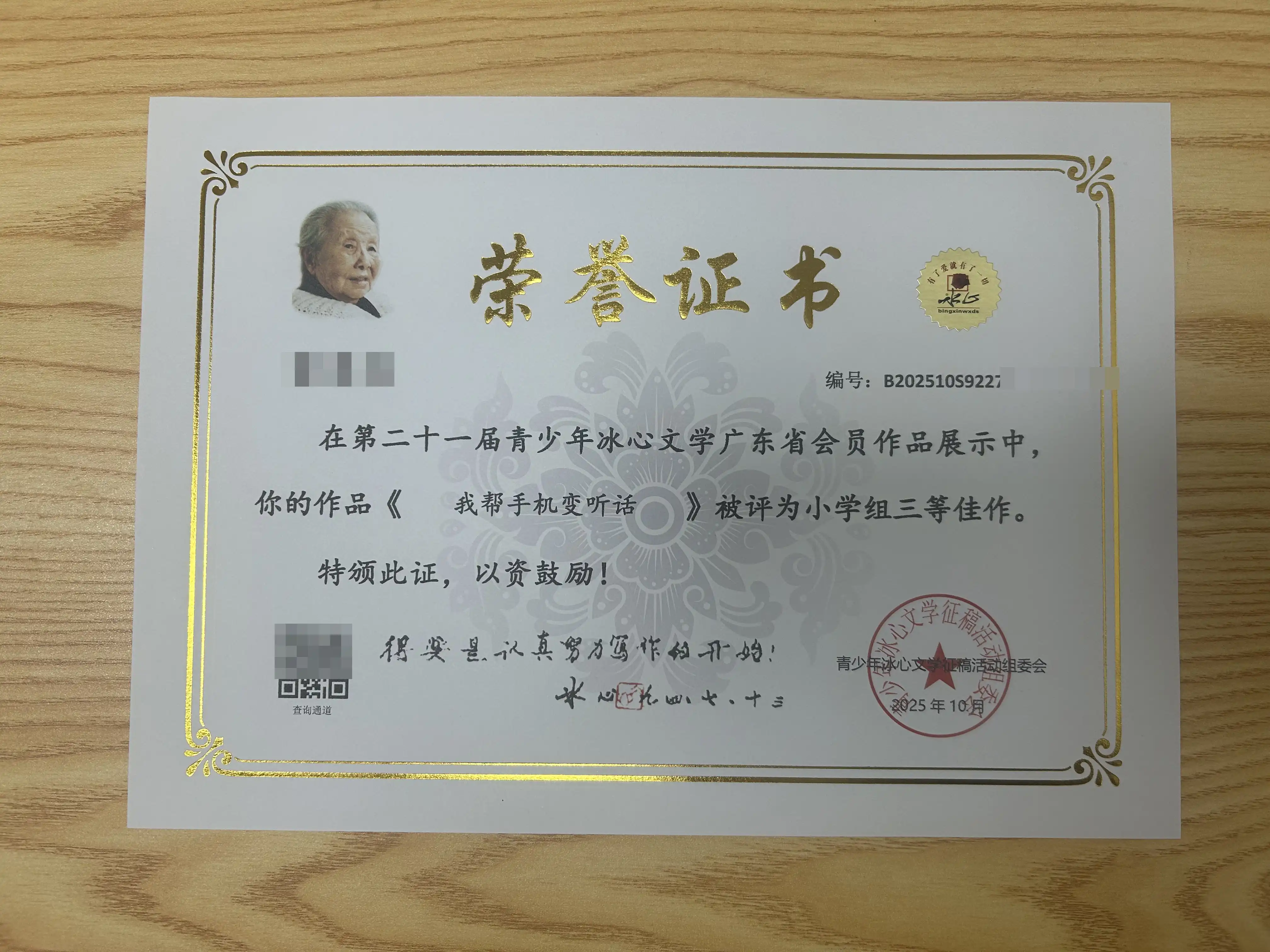 冰心杯小学组三等佳作