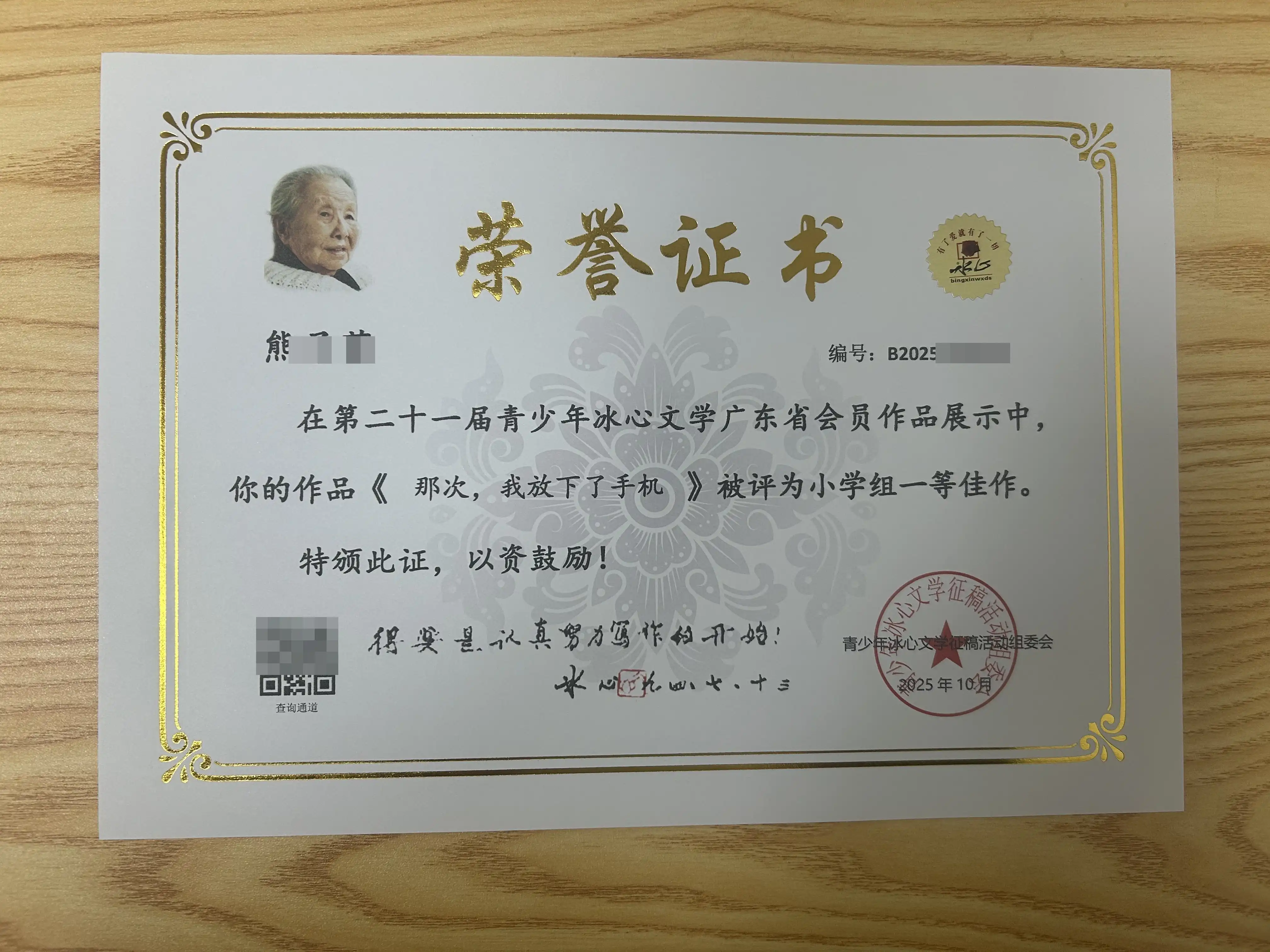 冰心杯小学组一等佳作